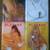 Adult Playing Cards & Magazines 4 thumbnail