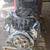 ⭐ 🔧 2006 - 2010 BMW 6 Series 4.8L Engine for Sale | Stock F36741 🔧 ⭐ 1 thumbnail