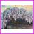 Wisteria Tree By The Water Impressionist Painting On Canvas, Signed 6 thumbnail
