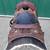 16" Custom HR Association Ranch saddle 4 thumbnail