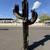New Handcrafted metal saguaro cactus yard art sculpture adorned with d 3 thumbnail