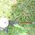 Shakespeare Fishing Rod and Reel, 2 Pc 11 thumbnail