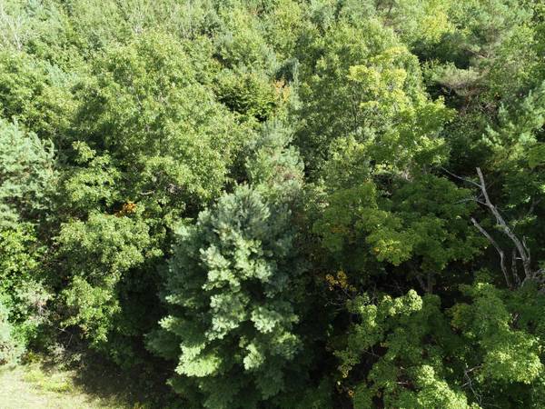 $273,900 25047069 Just in time for hunting season. Fifty acre parcel! (Luther)64037897027329122