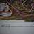 3 AUDUBON pix / pr - select from 3 - Meadow Lark; Mallard; Wild Turkey 10 thumbnail