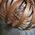 West Elm Mid-Century Modern Bent Wood Chandelier MCM Lighting Mod 5 thumbnail