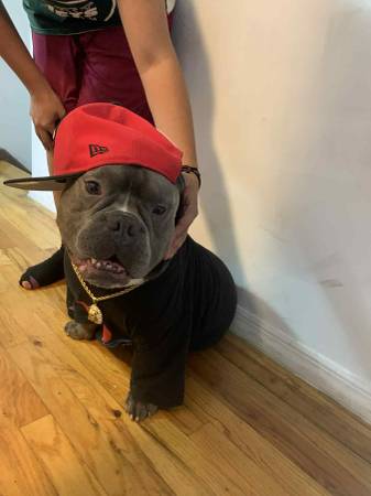 Mi nombre es blue (Jamaica, NY)63875423787649121