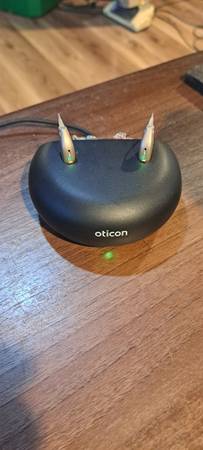 Oticon Hearing Aids 1