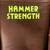 HAMMER STRENGTH COMMERCIAL GYM PRO SERIES WORKOUT WEIGHT BENCH ~fd 13 thumbnail