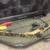Compound Bow with Case and Accessories 2 thumbnail