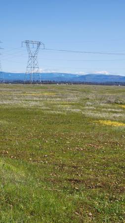 $99,000 40 Acres for sale (Millville)63972528928131122
