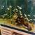 Aquarium Fish Electric Blue Acara 11 thumbnail