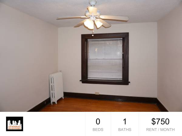 $750 / 330ft2 - 1728 3rd Ave, Estudio Clásico HW en Stevens, Camina al Centro, Mascotas Permitidas! (Stevens Square, Eat Street, Centro de Minneapolis)64048422109569120