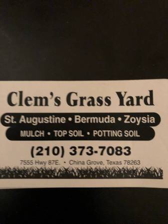 Clems grass yard 1