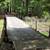 Sugar Camp Chain of Lakes Access. Wooded lot 13 thumbnail