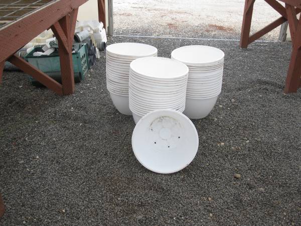 14" Baskets for planting up Hanging Baskets 1
