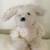 Vintage 1990's Plush Dogs - Lot of 3 11 thumbnail