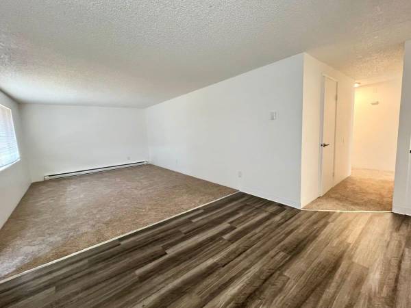$1,650 / 3br - 1200ft2 - Three Bedroom 1.5 Bath - Fantastic Specials Running Now! Upgrades!63673500997505123