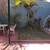 3 BED ,patio, house is totally reconditioned  $75,000 12 thumbnail