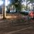 Yard clearing/grading 4 thumbnail