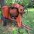 Cement Mixer 3 thumbnail