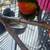BIRD. 1 thumbnail