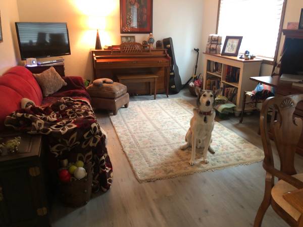 $1,175 / 2br - 2bed/2bath condo conveniently located in Homer town. (Homer, Alaska)64163341643905123
