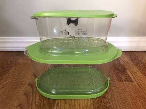 Set of Two Progressive Vegetable Stay-fresh Containers 1