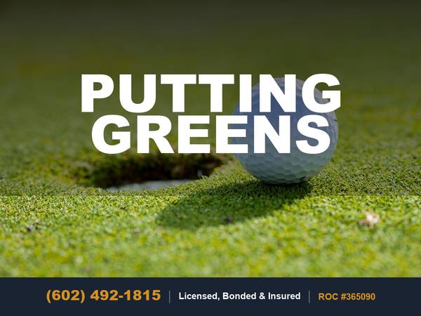 Putting Green Installation Backyard Artificial Synthetic Golf Builder 1
