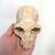 Group of Bone & Skeleton Related Halloween Decor 5 thumbnail