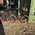 Specialized Road Bike 1 thumbnail