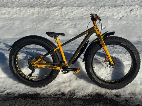 BeeSting Medium Fat Bike with MONSTER Fat Tires 1