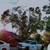 Green View Tree Service 12 thumbnail