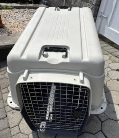 Large dog crate 1
