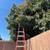 $50 Landscaping-Tree Trimming-Concrete-Landscape Pavers-Fence Repair 6 thumbnail