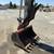 2017 Takeuchi TB290 Hydraulic Excavator 4 thumbnail