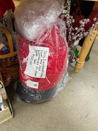 Dale Earnhardt Sofa Cover and Dale Jr. Chair Cover 1