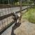 Nigerian Goats 3 thumbnail