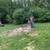 Antonio Tree Service Omaha 18 thumbnail