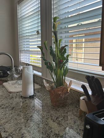 $2,000 / 1br - 950ft2 - Pet mandatory Rental 🐶🐱 (Quincy)63996403345411122