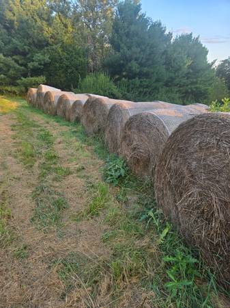 First cut hay round bales net wrapped 1