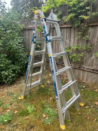 Multiposition telescoping ladder 1