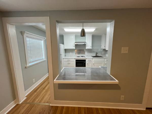 $725.00 / 1br - 320ft2 - 'Treehouse' Studio Apartment Near Spohn Shoreline64036538033794121