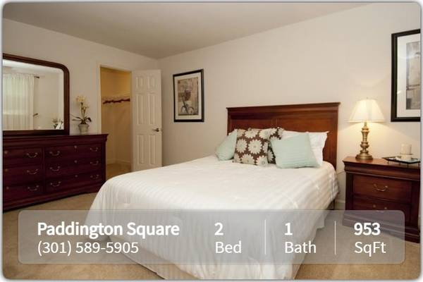 $1,800 / 2br - 953ft2 - For affordable living in Silver Spring, check out this 2 bed, 1 bath! (Silver Spring)63896277690883120