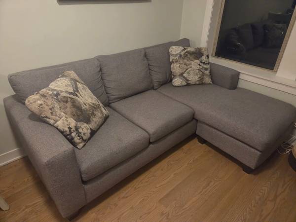 Sofa with Chaise 1