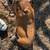 Various Flock/Livestock 14 thumbnail