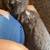 Bunnies 2 thumbnail
