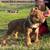 TRI MALE 2 BULLY PUP 1 thumbnail