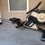 Rowing Machine 1 thumbnail