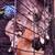 Small kittens 3 thumbnail