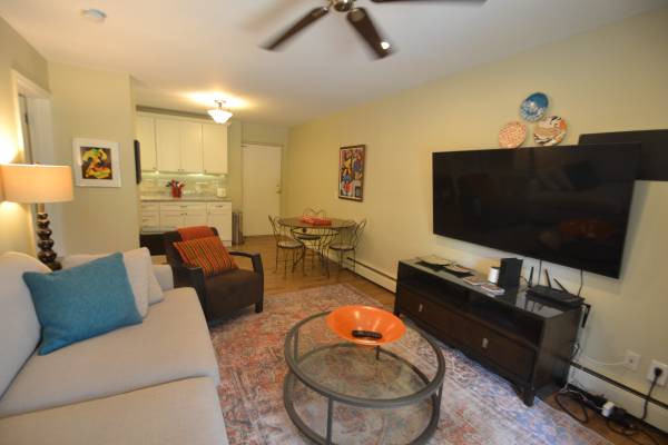 $1,295 / 1br - 600ft2 - R-2 Furnished 1BR Center City location (Cincinnati)63974471750786122